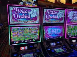 pkr96 Slots Feature Event